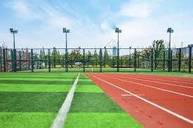 米体：邓弗里斯腿筋受伤，欧冠打拜仁存疑